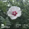 board-img