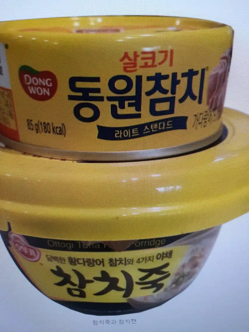 나의 다이어트 방법