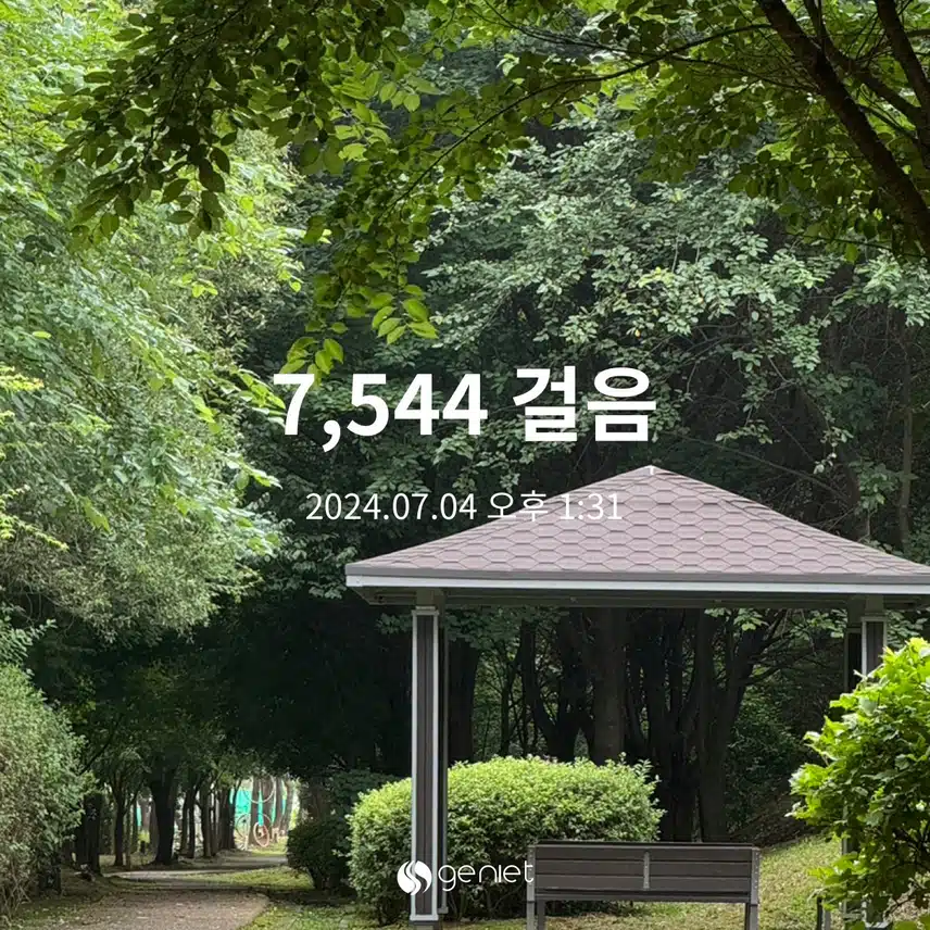 오전 걷기