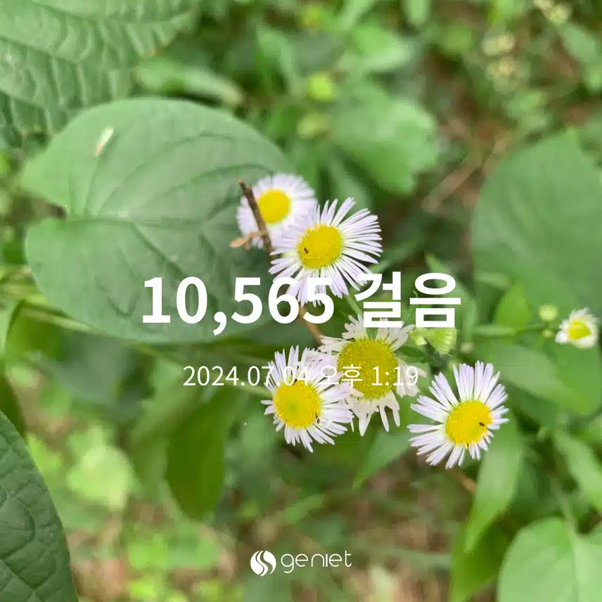지육챌 2일차 인증