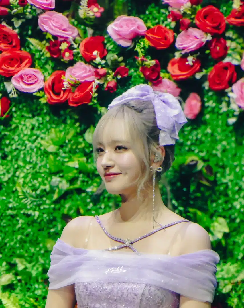연보라색 꽃같은 리즈