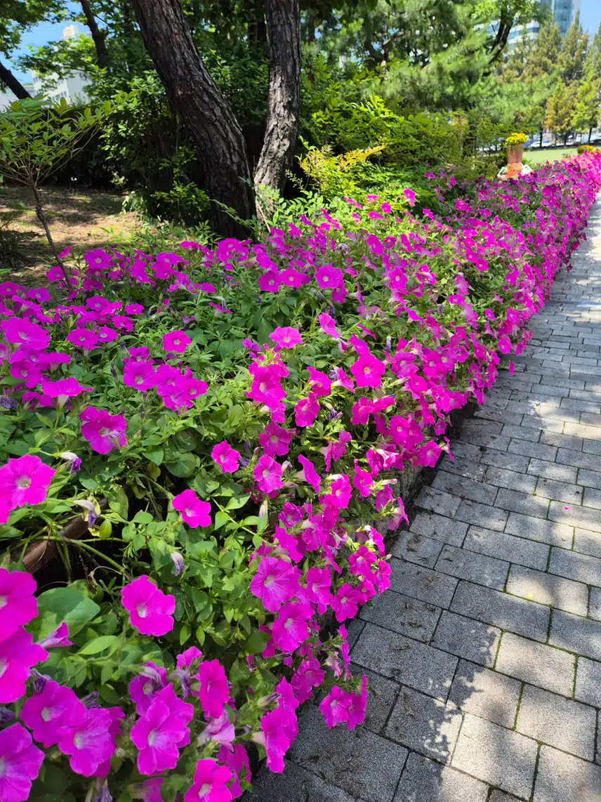 화려한 꽃잔치-19(4차)