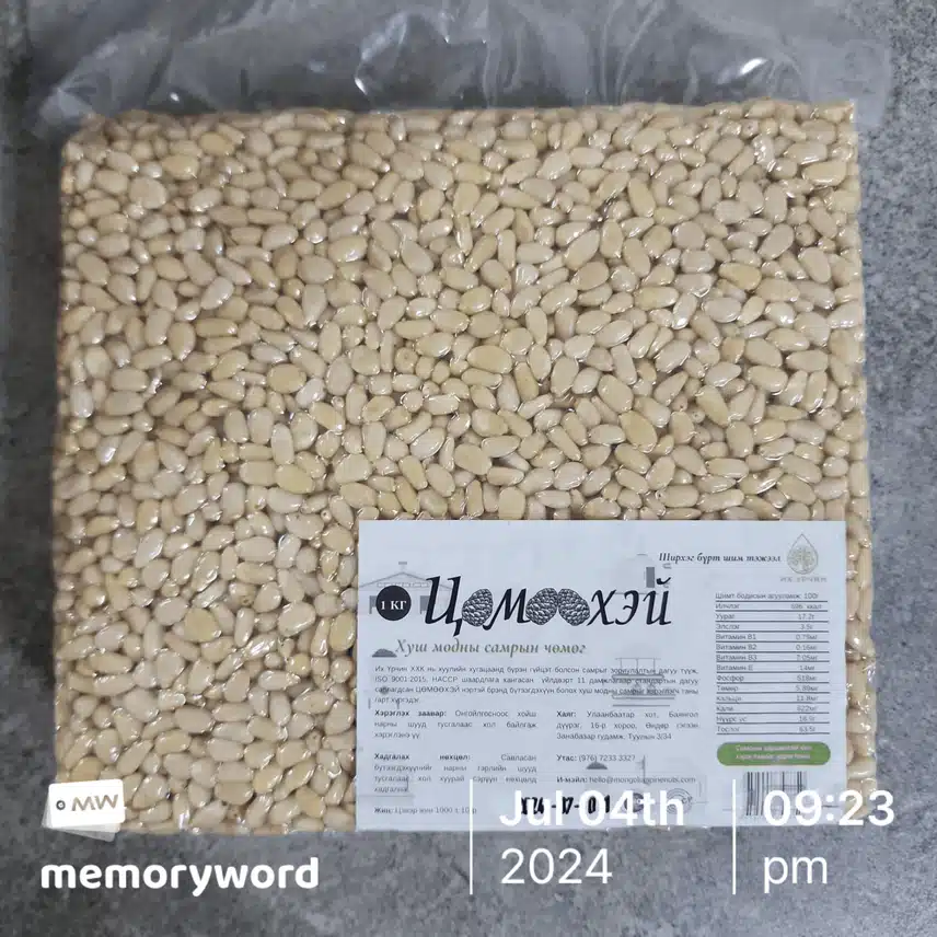 몽골 잣