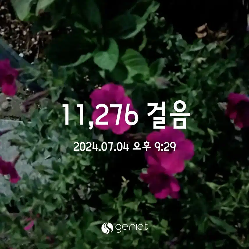 만보 ㅎ