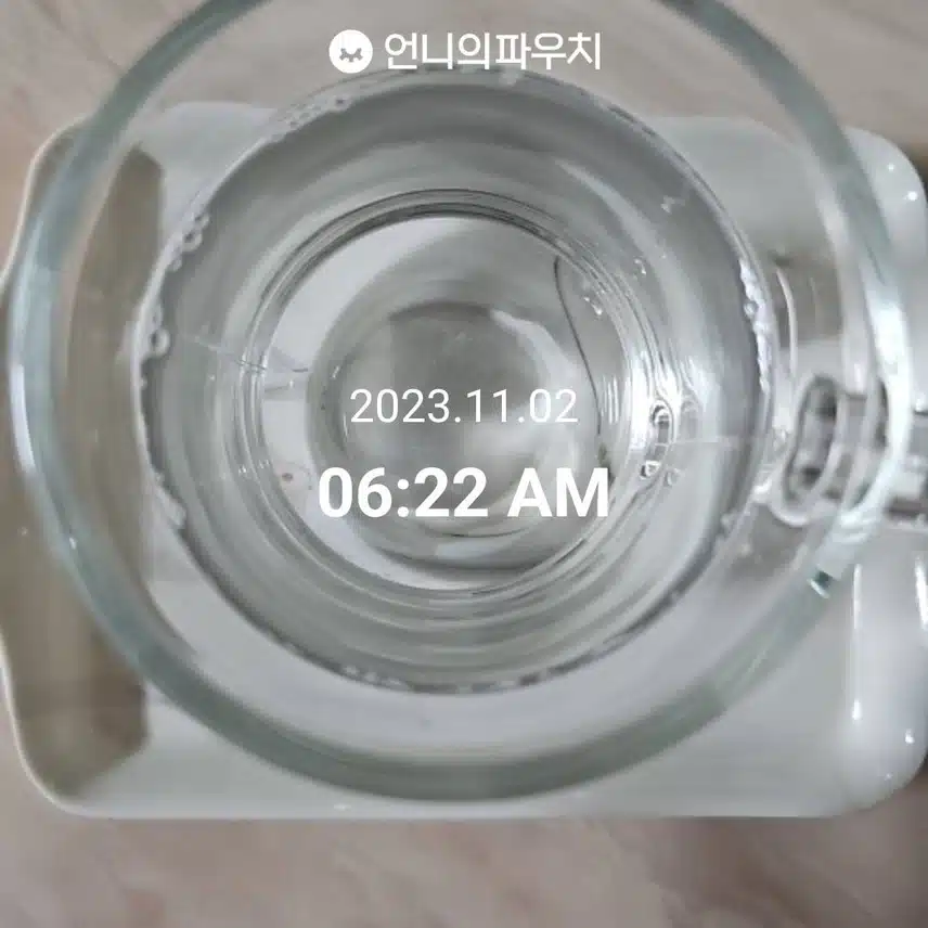 11월 2일 모닝