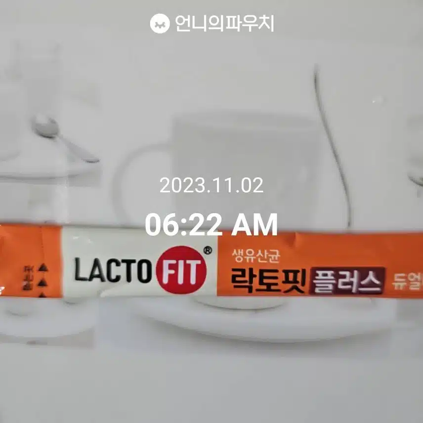 11월 2일 모닝 2