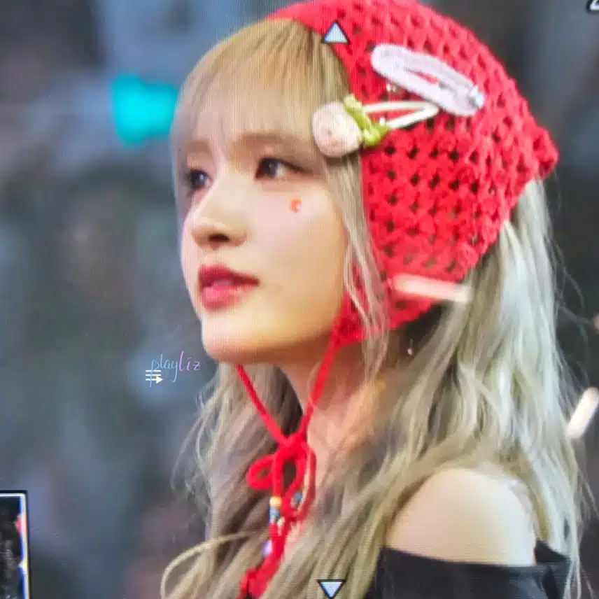 딸기 고양이 리즈 미모 미쳤네요