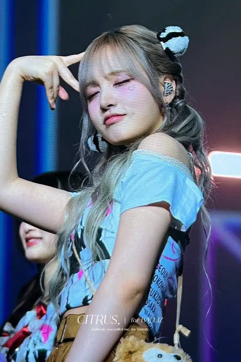 오늘 콘서트에서는 판다가 된 고양이리즈 🐼🐱