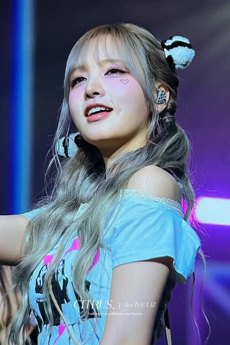 오늘 콘서트에서는 판다가 된 고양이리즈 🐼🐱