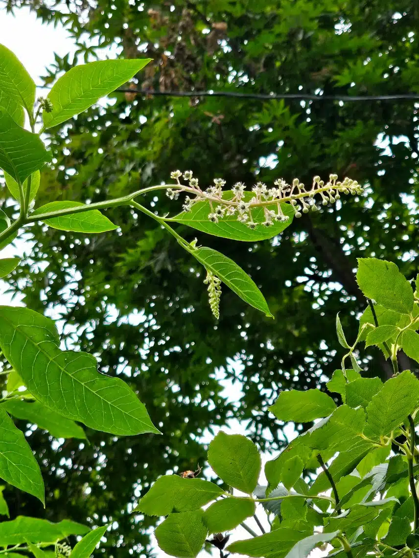 이름 검색이 잘안나와요