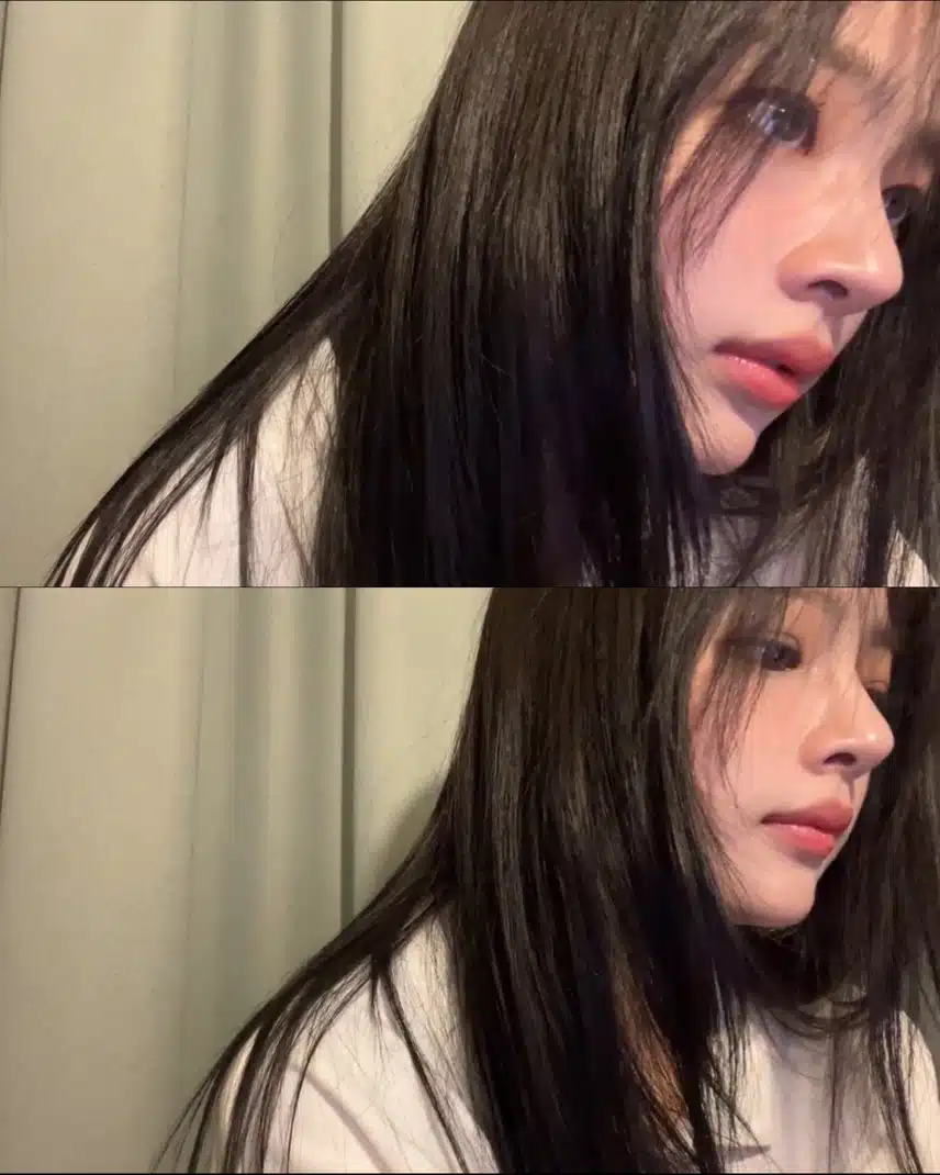 이 세상 콧대가 아닌 듯
