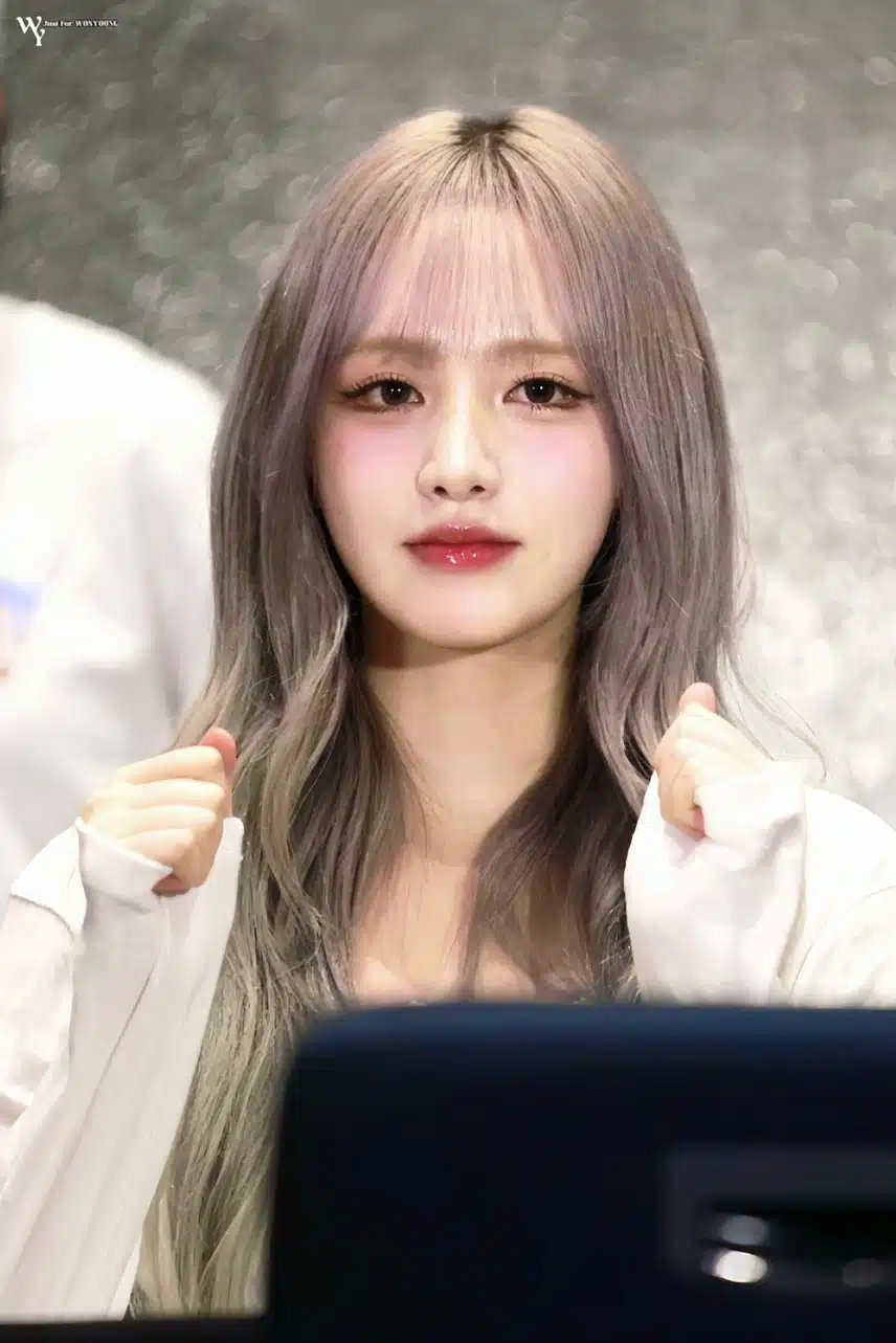 꽃받침 너무 귀여운 리즈 🐱