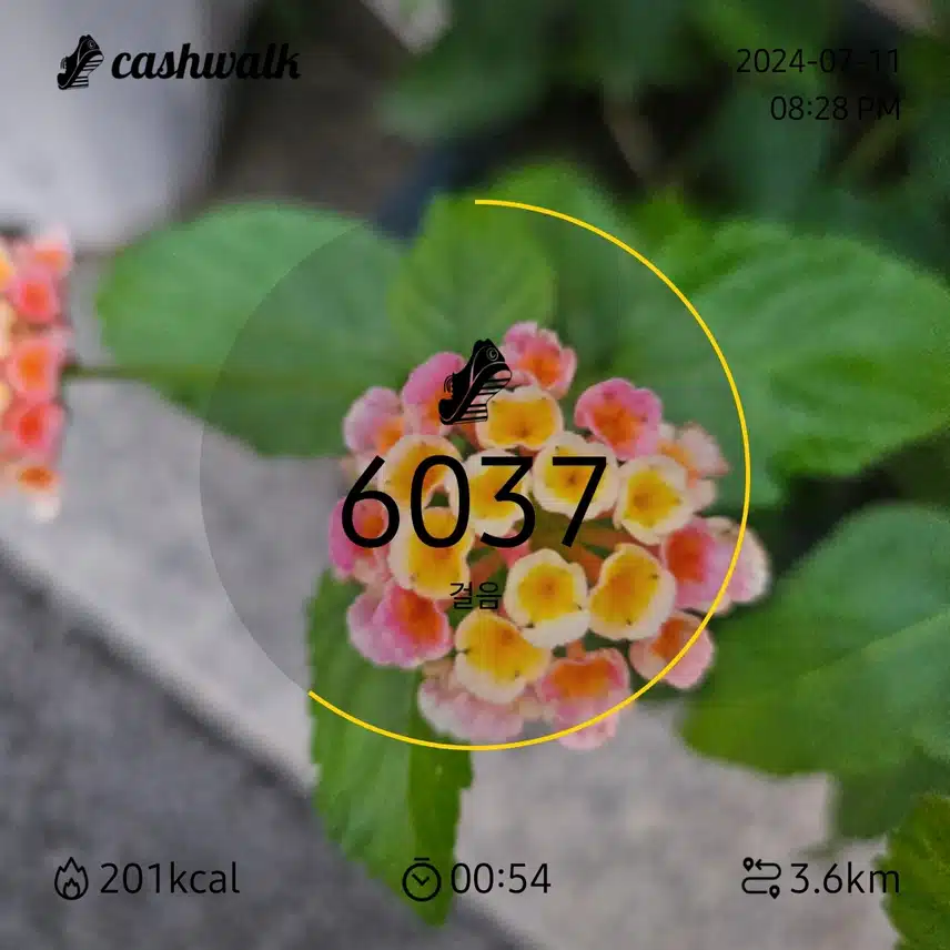 인증 