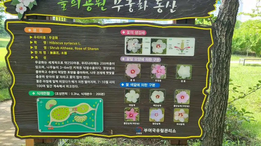우리나라꽃