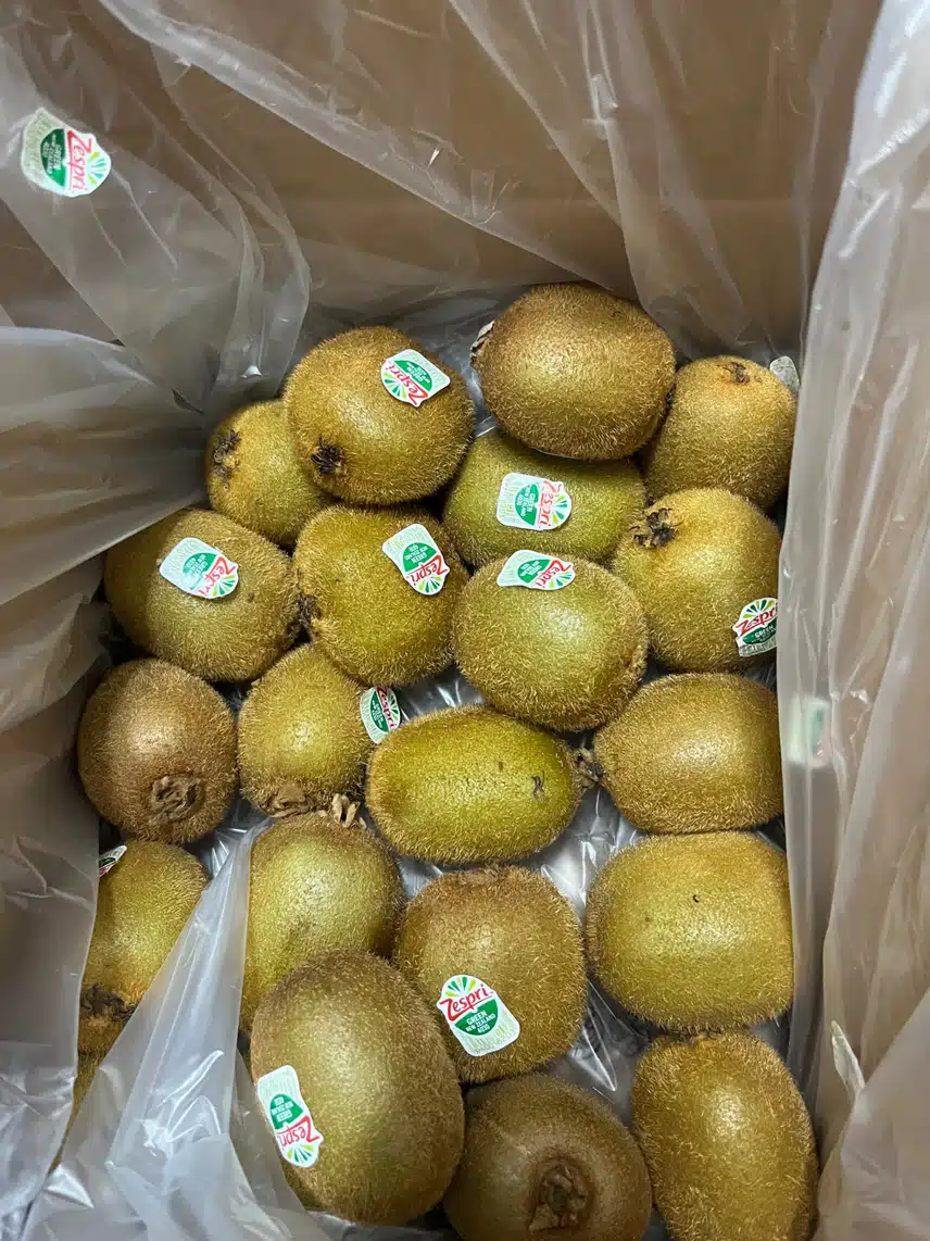 캐시딜의 발견 키위 구매했어요