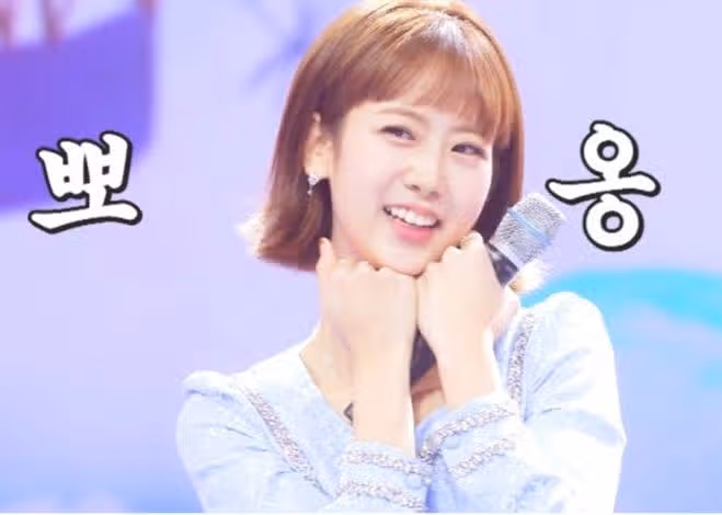 6시내고향