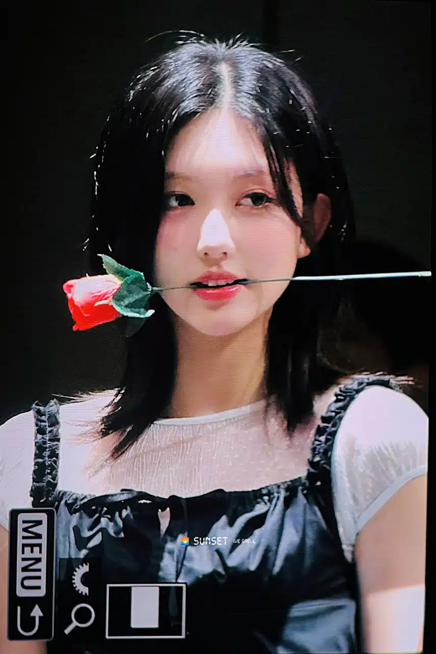 장미🌹입에문 가을 미모 무슨일이야