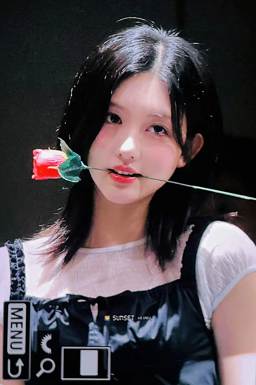장미🌹입에문 가을 미모 무슨일이야