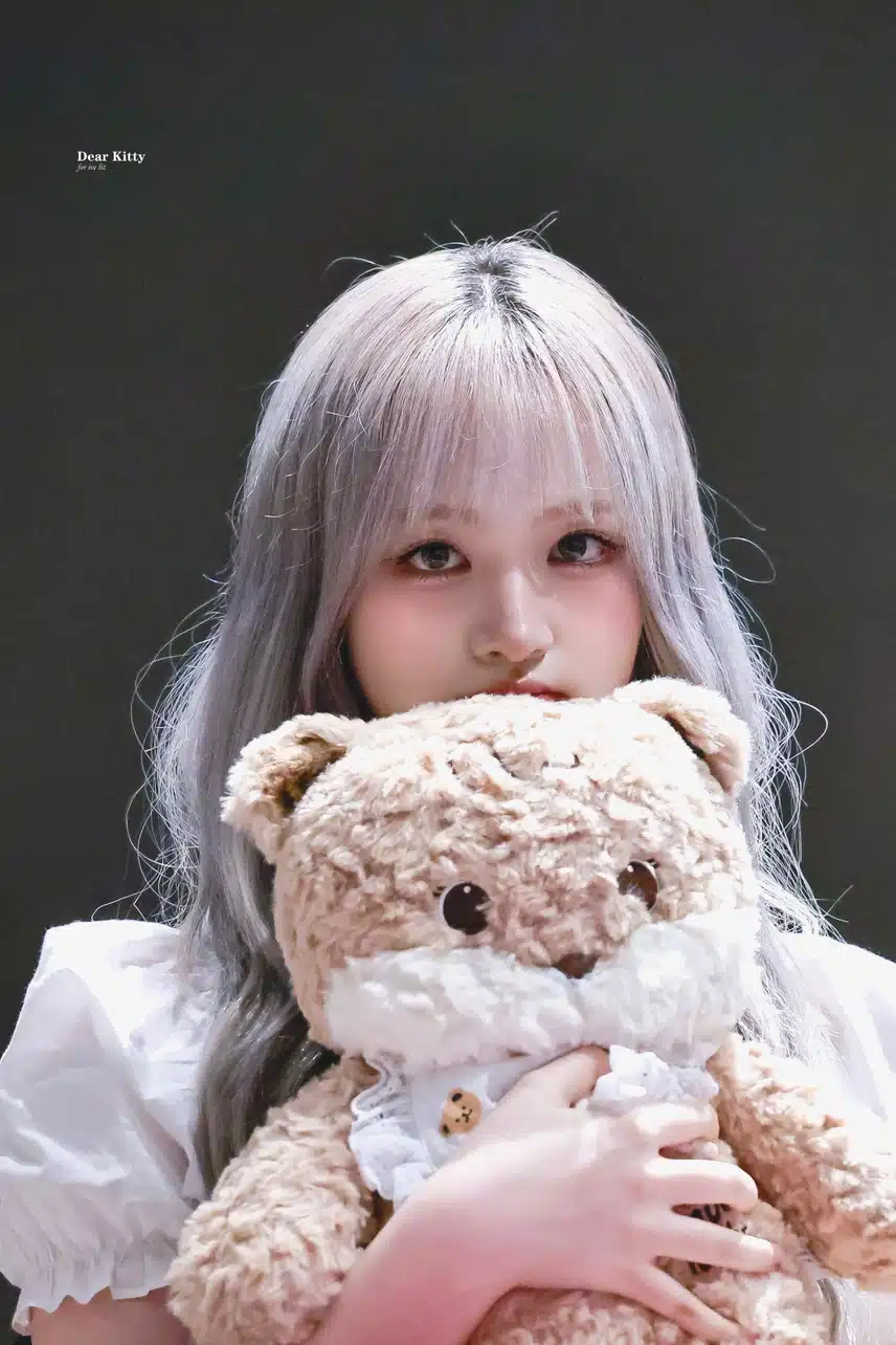 인형과 인형같은 리즈 🐱