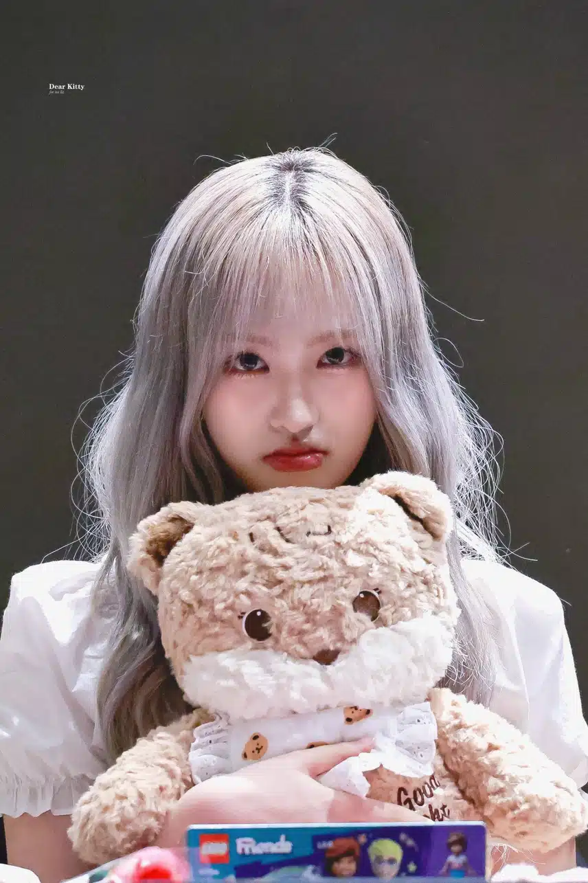 인형과 인형같은 리즈 🐱