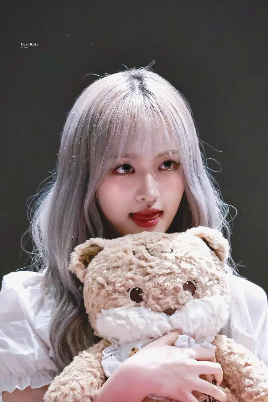 인형과 인형같은 리즈 🐱