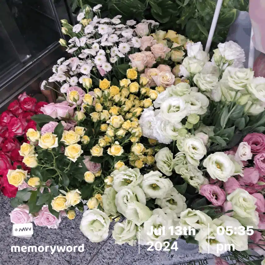 꽃구경 하세요