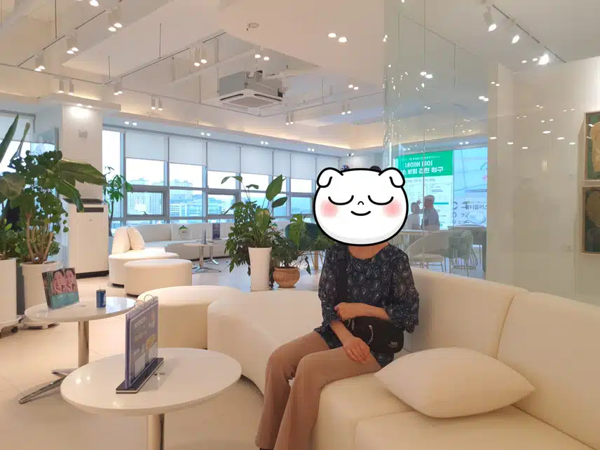 루시앙썸머 시스루  쉬폰블라우스  주문했어요 