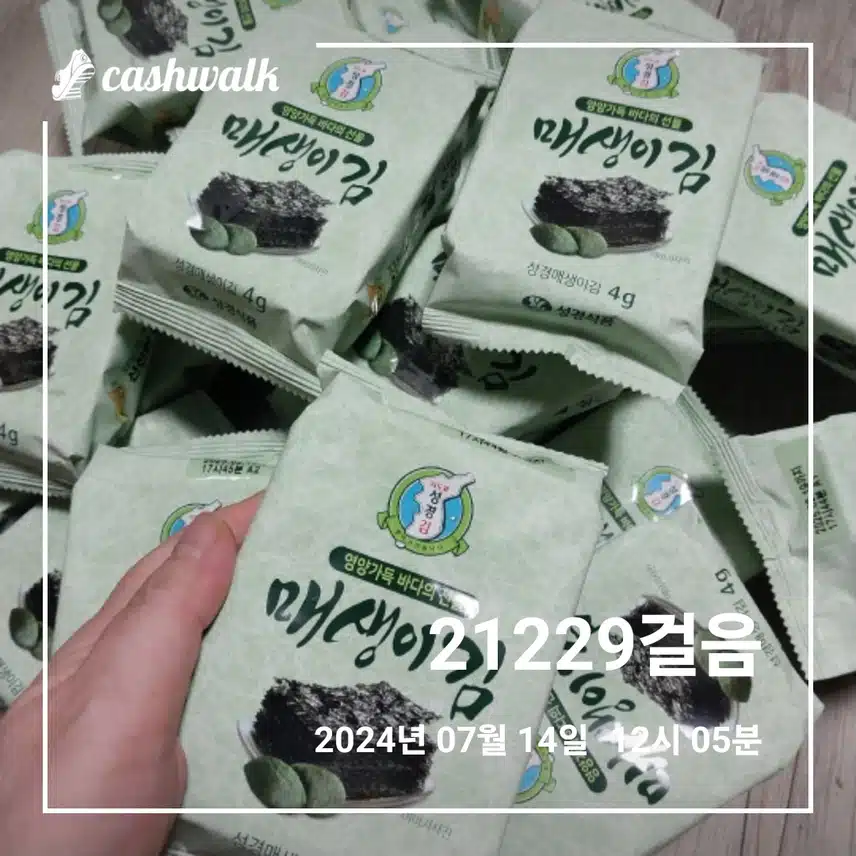 지도표 성경 매생이김 추천합니다