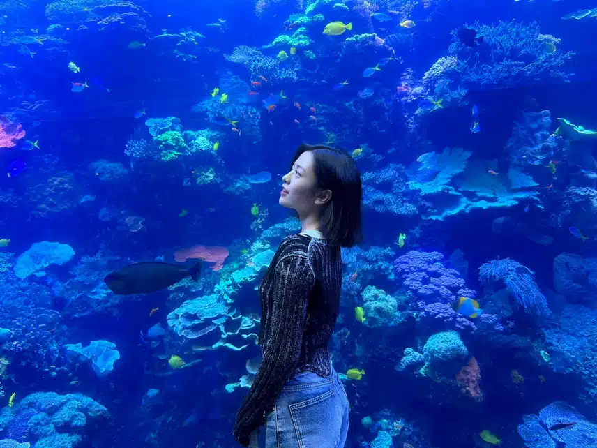 수족관 앞의 여신 안유진