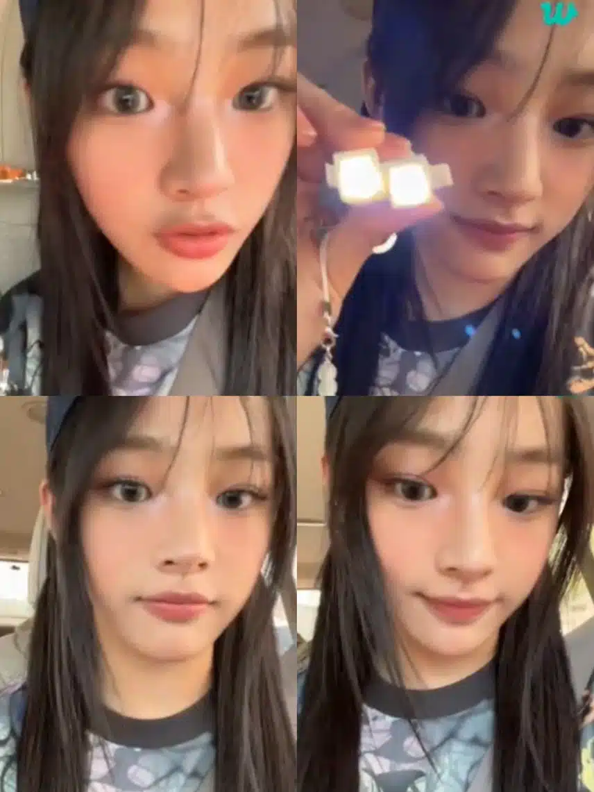 아기강아지 민지 쓰담쓰담🫳🫳