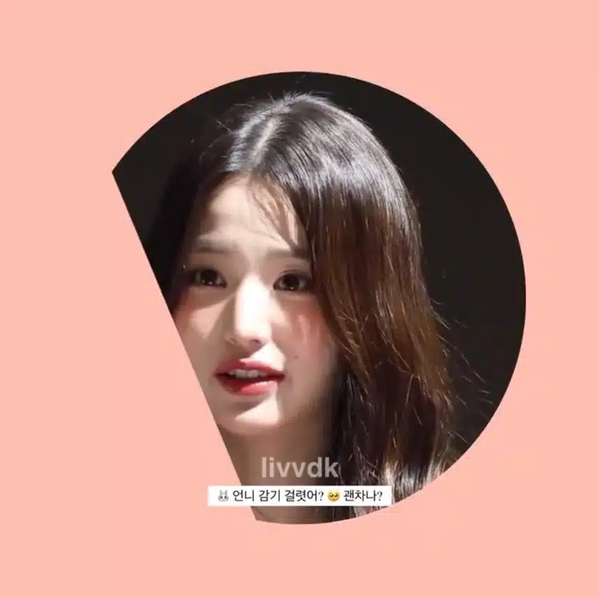 팬 주접에 빵터진 원영이ㅋㅋ