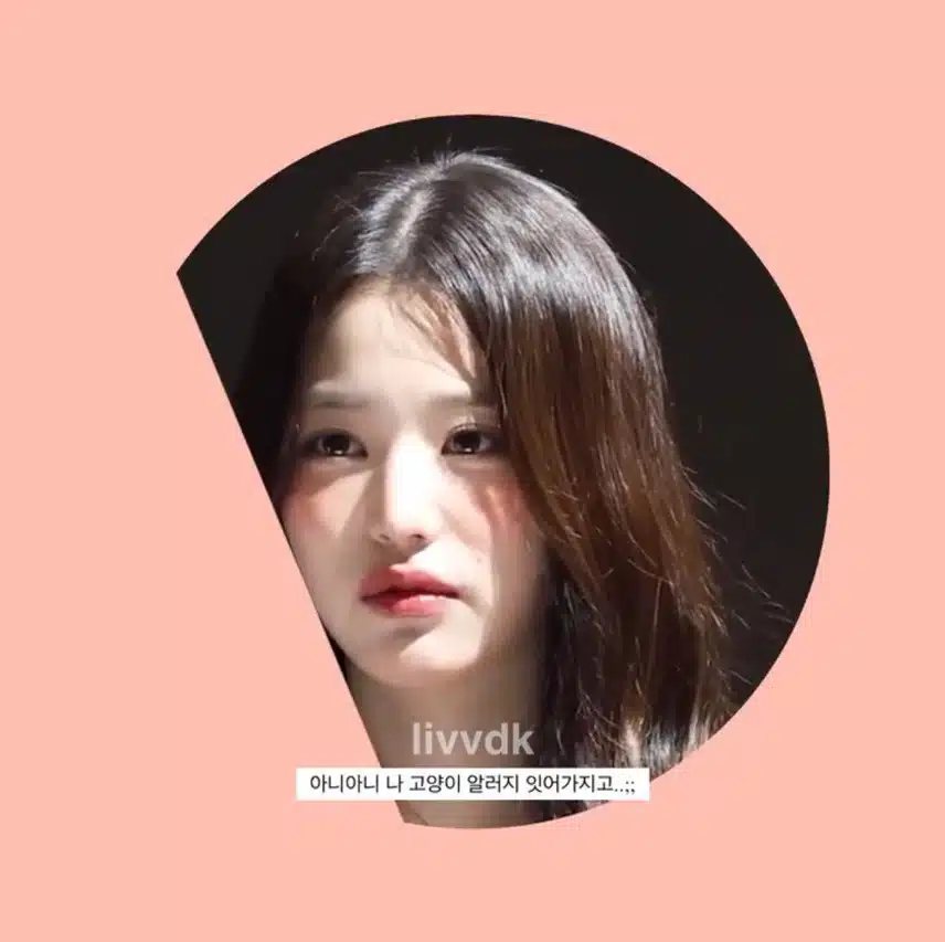 팬 주접에 빵터진 원영이ㅋㅋ