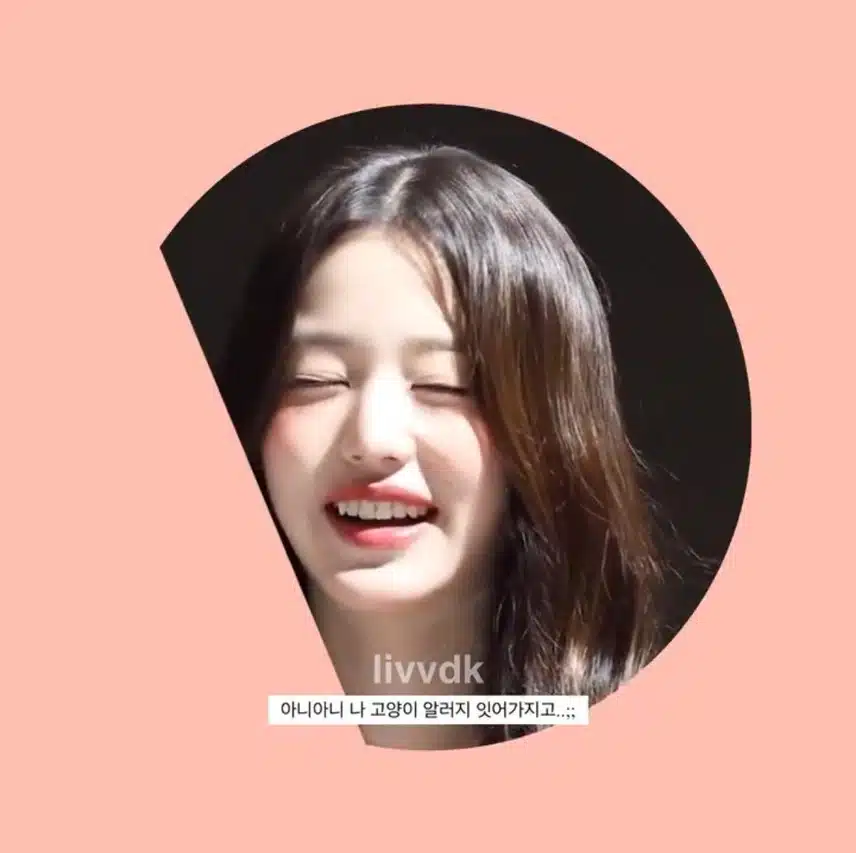 팬 주접에 빵터진 원영이ㅋㅋ