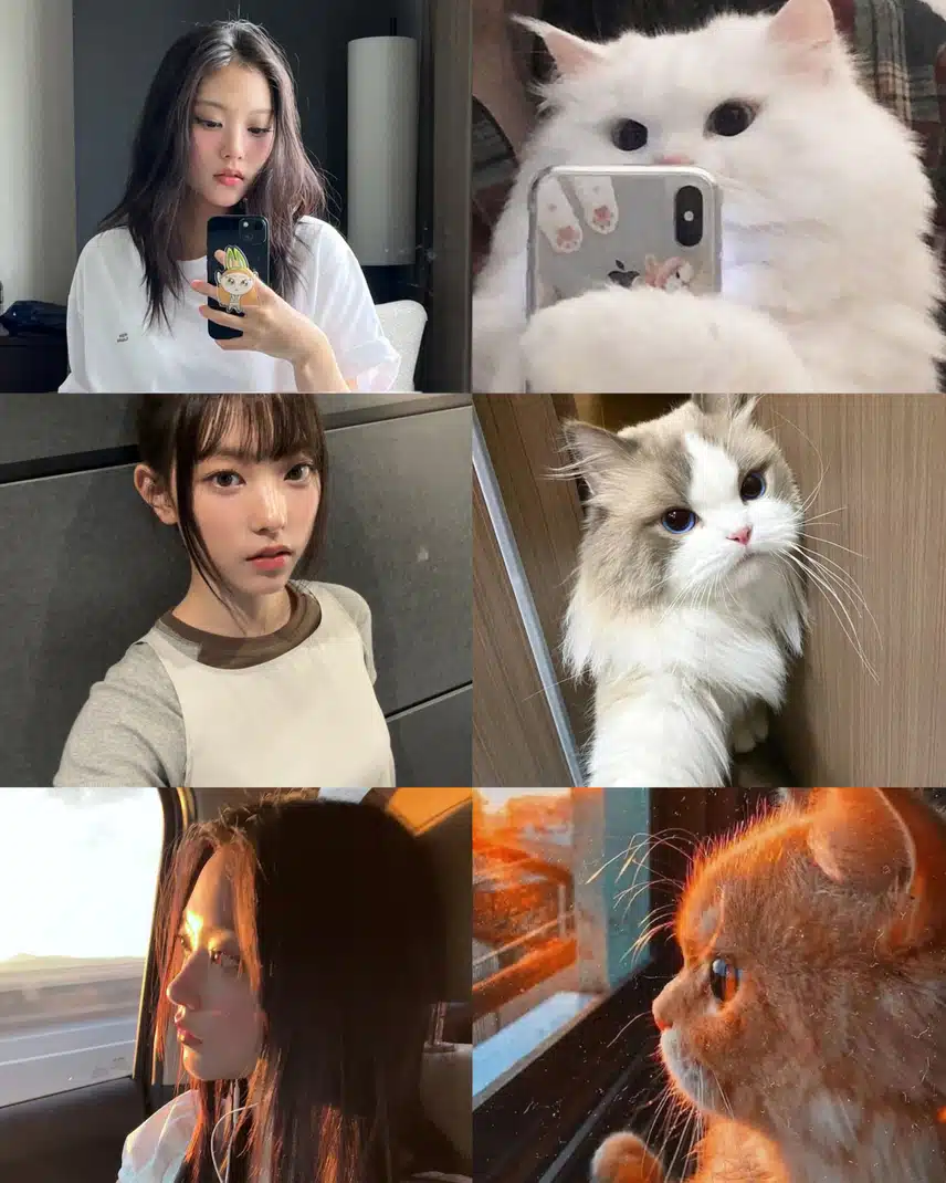 해린이=고양이 인정🐱?