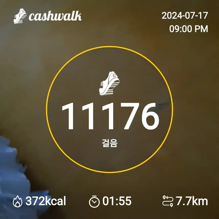 20만보걷기 