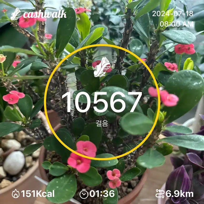 인증