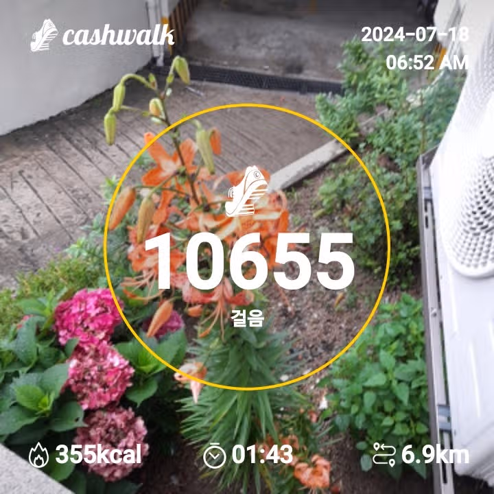 행복