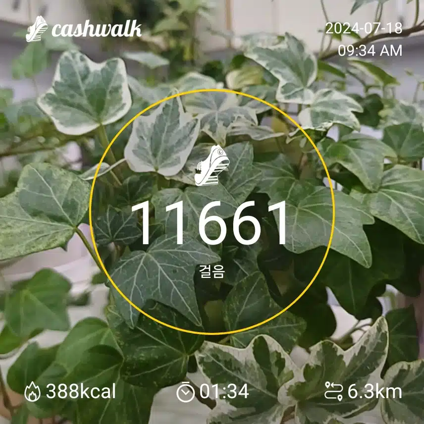 걷기