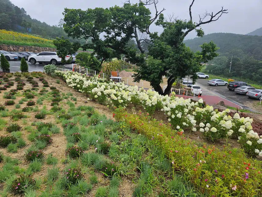 화단^^