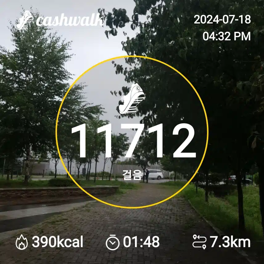 20만보걷기