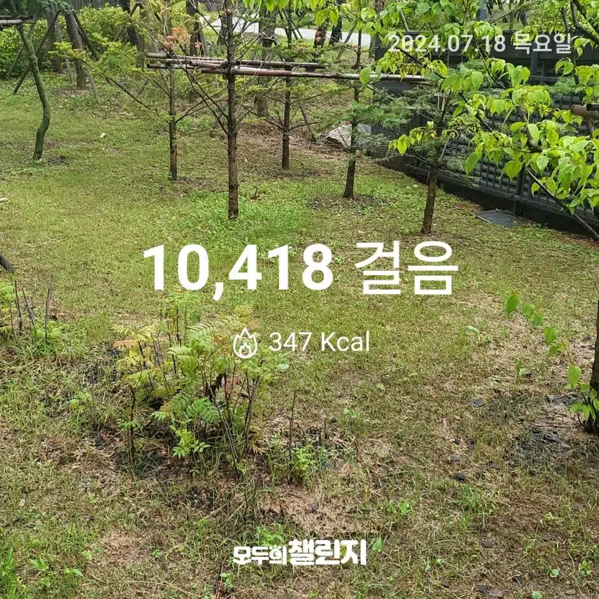 인증
