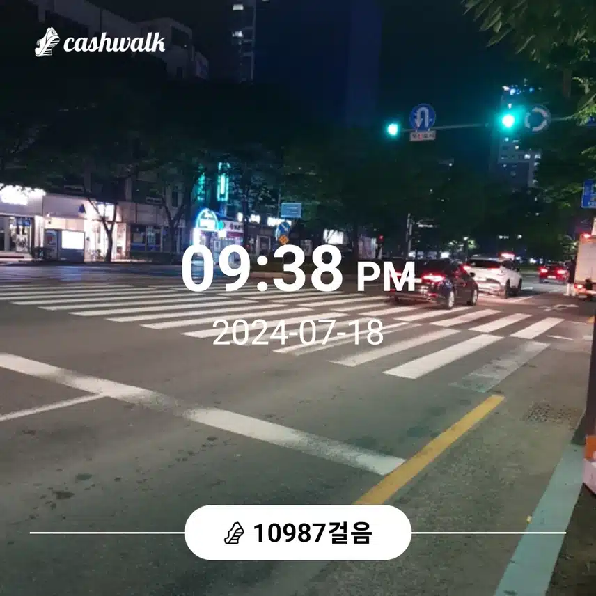 36일차인증