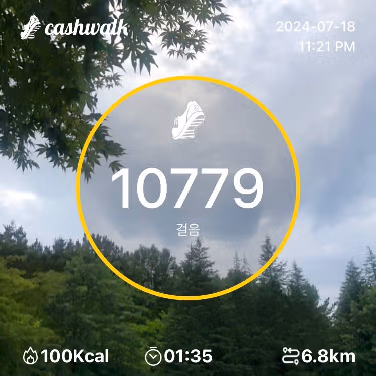 만보인증