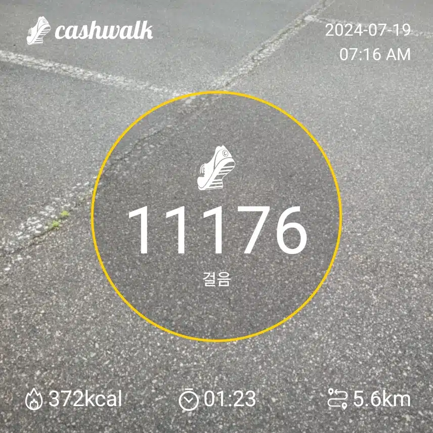 38일차인증