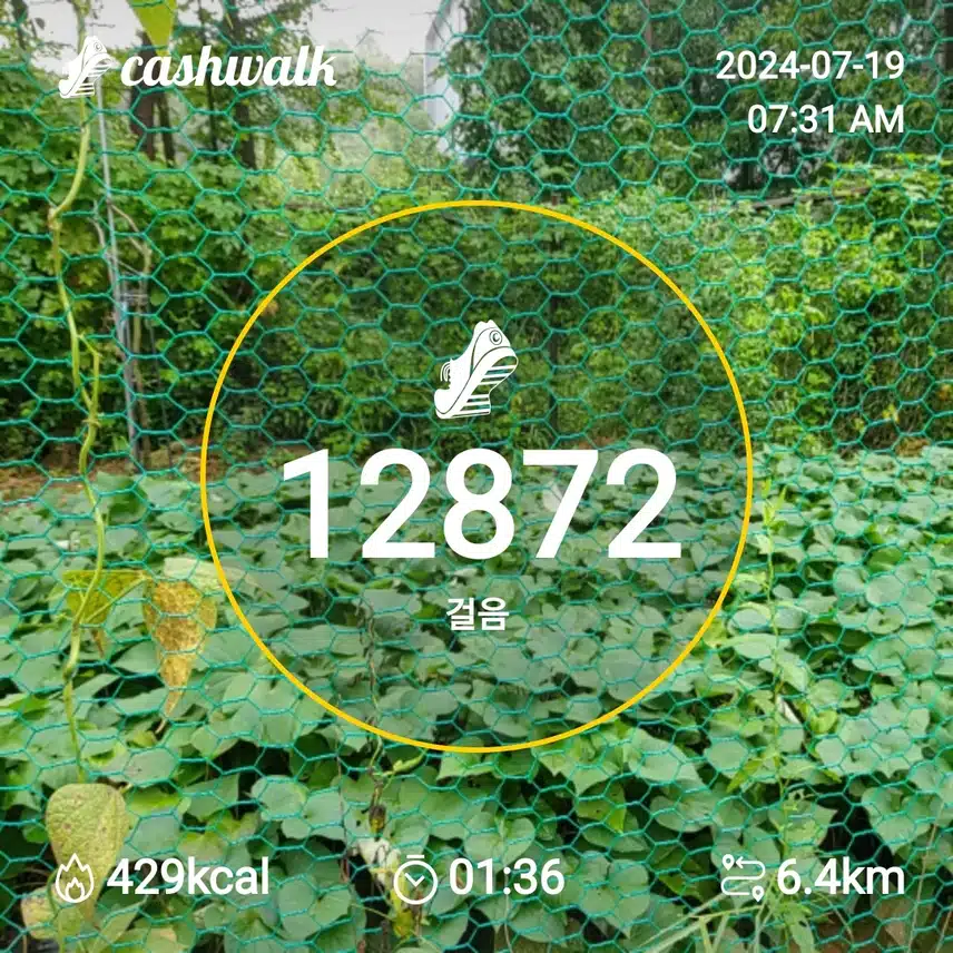 인증