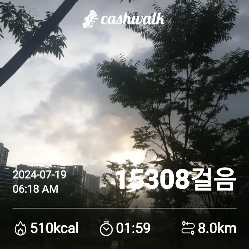 20만보 걷기 챌맄지