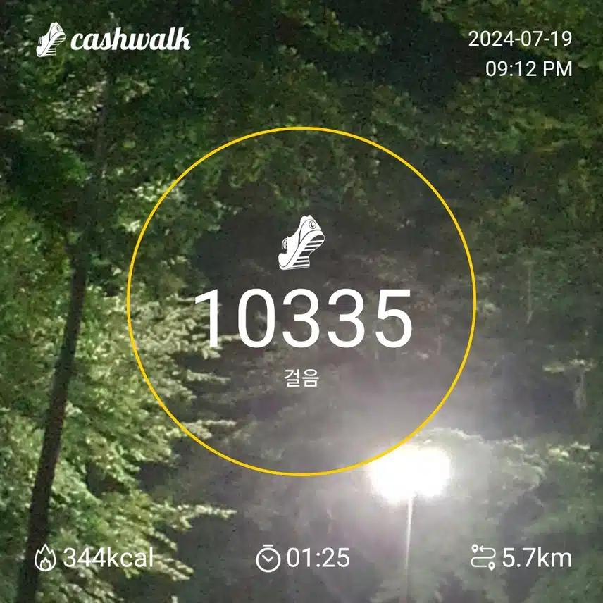 밤 산책