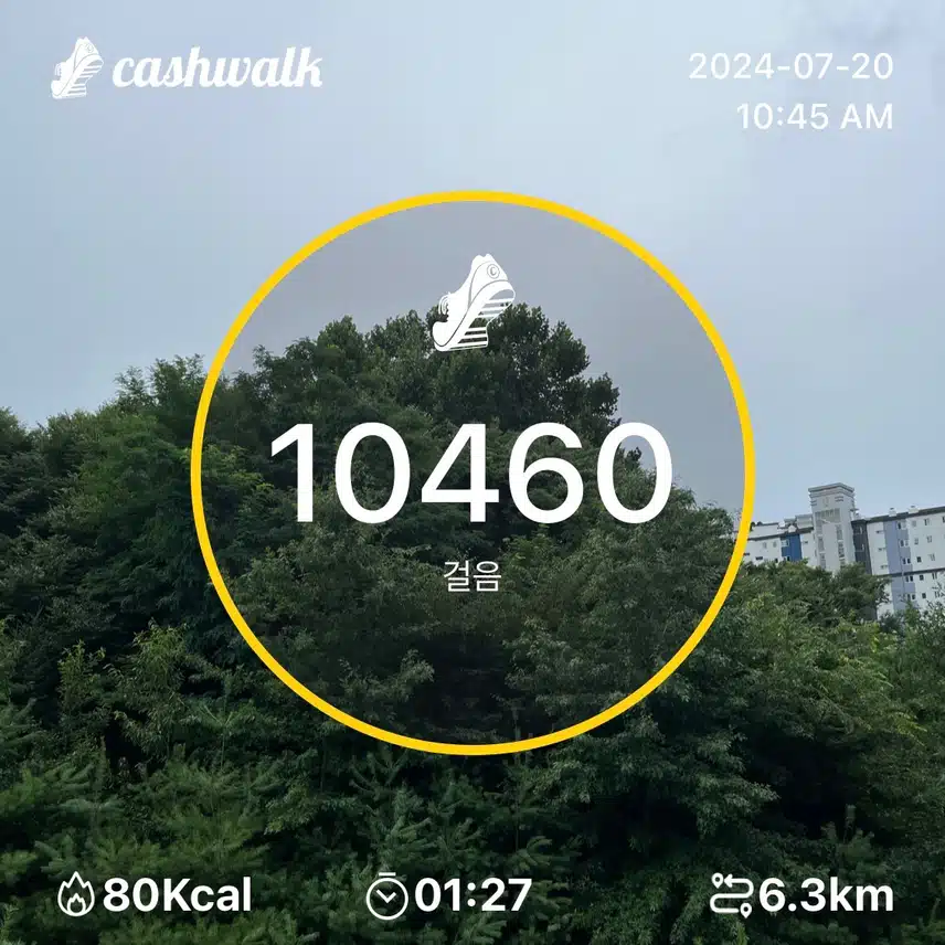 인증