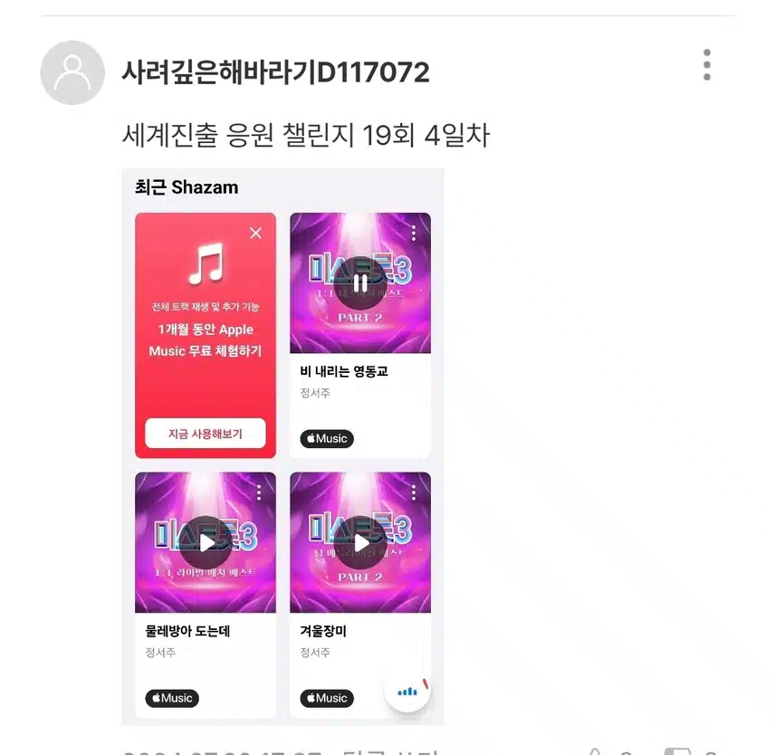 세계진출 응원 챌린지 19회 인증