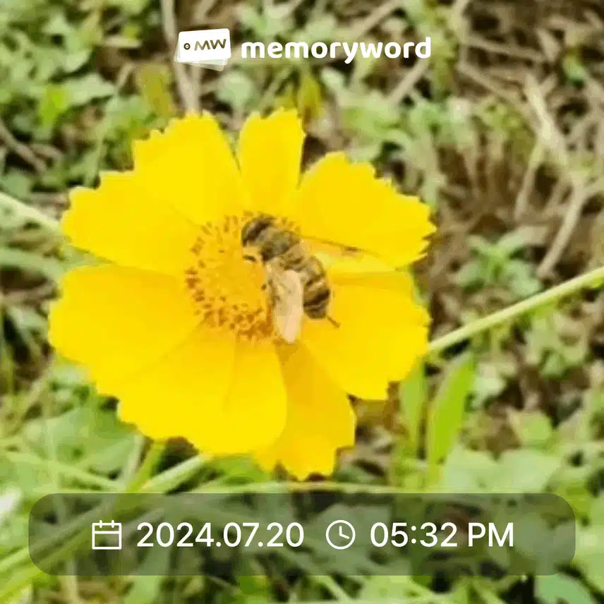 무슨 꽃일까요
